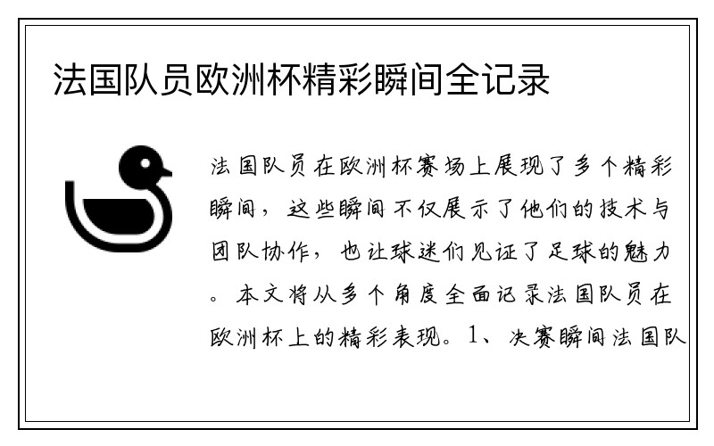 法国队员欧洲杯精彩瞬间全记录